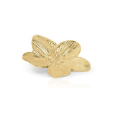 Isla Blooming Petal Earrings by ARIIRA, featuring a gold textured floral design, lightweight and elegant for everyday wear.