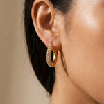 Gold Plum Gold Tone Chunky Pavé Hoop